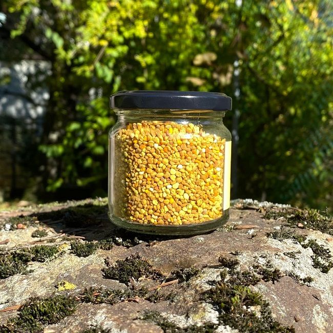 BIO Pyłek Pszczeli 100g